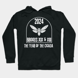 Cicada 2024 Brood XIX, Brood XIII Hoodie